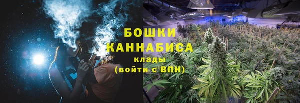 гидра Армянск