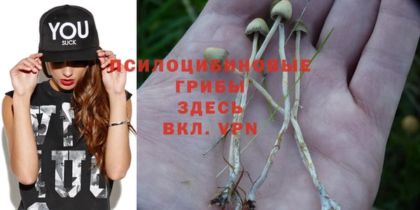apvp Балабаново